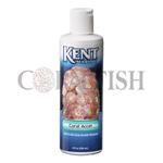 Coral Accel کنت مارین