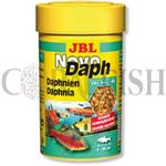 JBL Novo Daph جی بی ال 