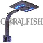 Maxspect MJ-L165 Blue