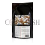 Reef Blizzard-S